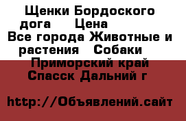 Щенки Бордоского дога.  › Цена ­ 30 000 - Все города Животные и растения » Собаки   . Приморский край,Спасск-Дальний г.